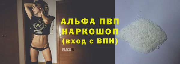 сатива Заводоуковск