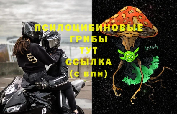 сатива Заводоуковск