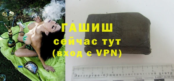 сатива Заводоуковск