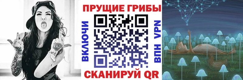 Псилоцибиновые грибы Cubensis  Смоленск 